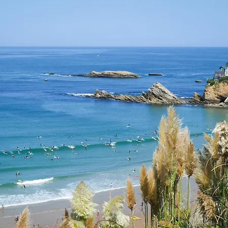 Apartament New ! Splendide T2 Hyper Centre Biarritz